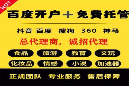 百度推广竞价全解析：某电商平台的营销策略